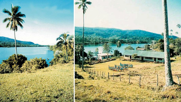 The Coconut Dream: Pure Fiji's Roots in Wainunu, Fiji