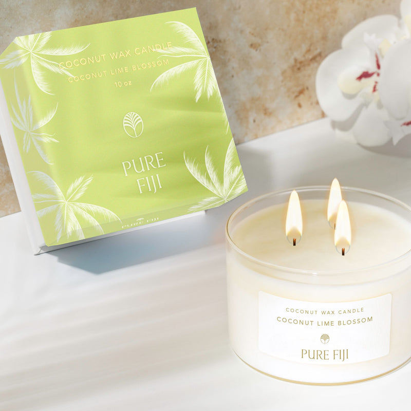 coconut and palm candle Palm Collection Coconut Wax Candle (9.5oz/280ml)