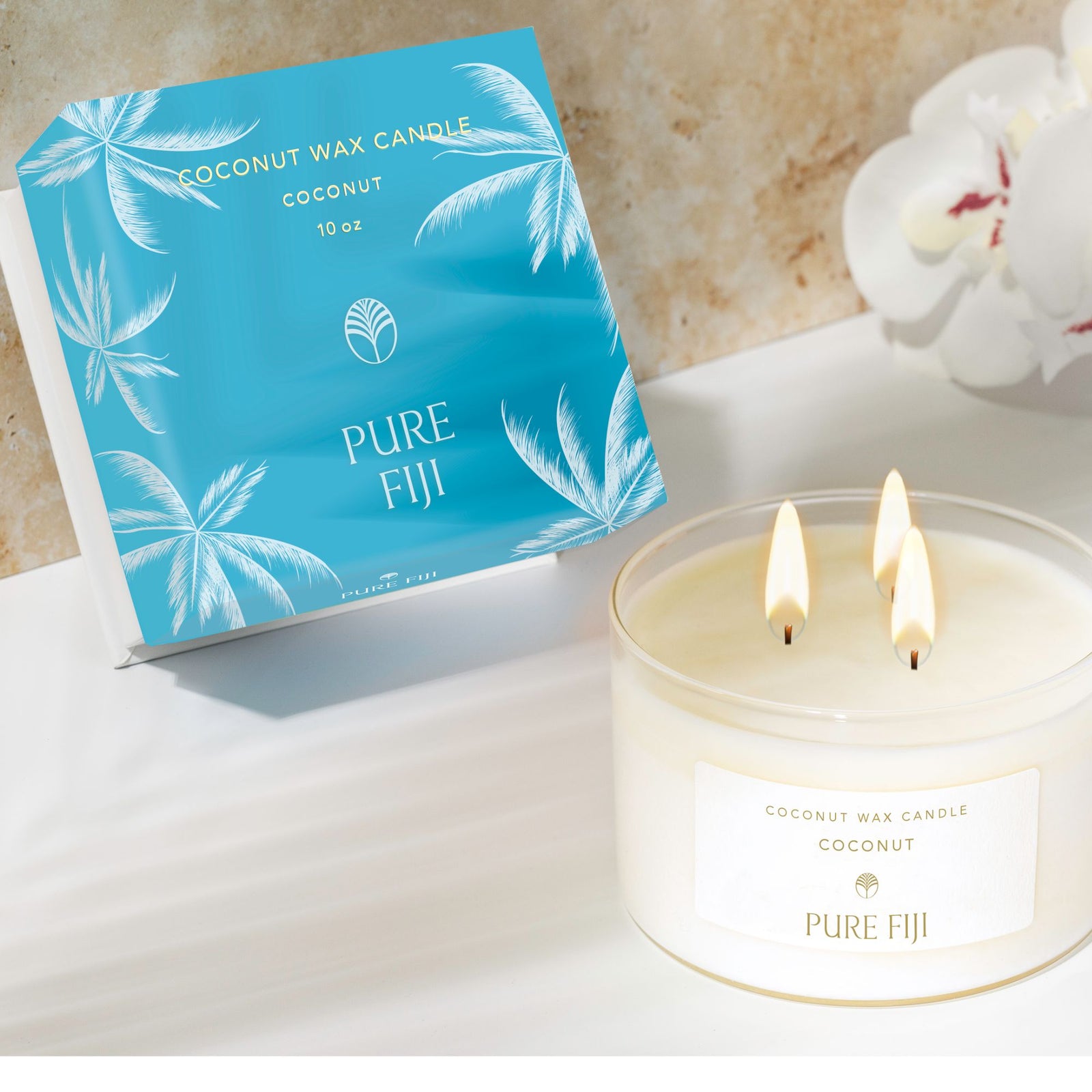 coconut and palm candle Palm Collection Coconut Wax Candle (9.5oz/280ml)